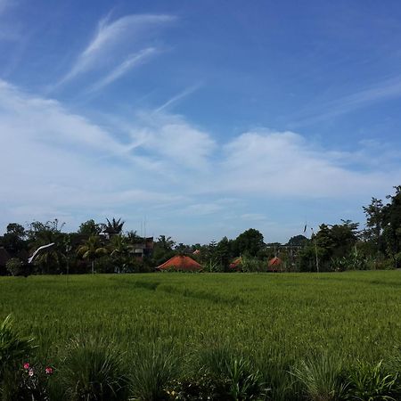 Kun - Kun Guest House Ubud Extérieur photo
