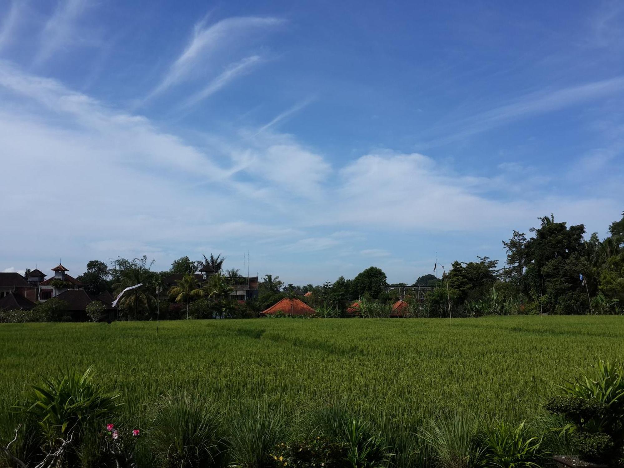 Kun - Kun Guest House Ubud Extérieur photo